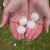 Simonton Hail Damage by Alpha Roofing & Construction